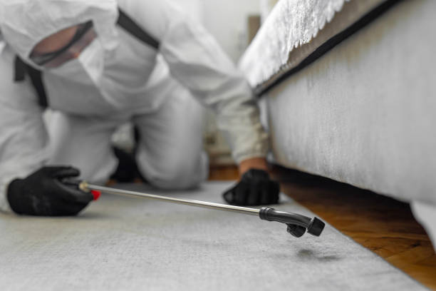 Professional Termite Control technician working in Rawlins, WY