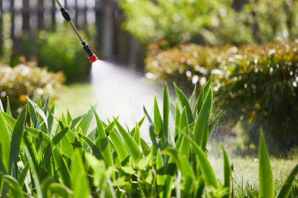 24/7 Emergency Termite Control experts in Rawlins, WY
